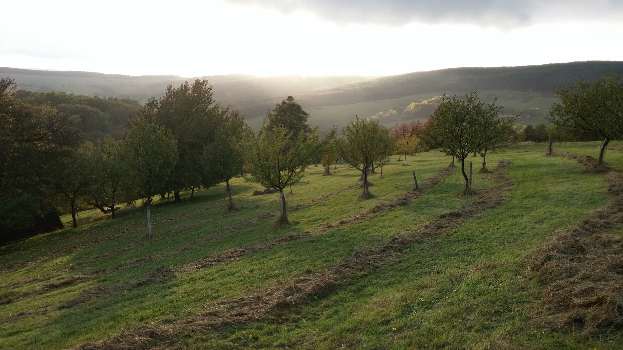 Integrovaný projekt se zaměří mimo jiné na zlepšení komunikace s hospodáři na pozemcích v lokalitách soustavy Natura 2000. EVL Bílé Karpaty.  Foto Petr Havel