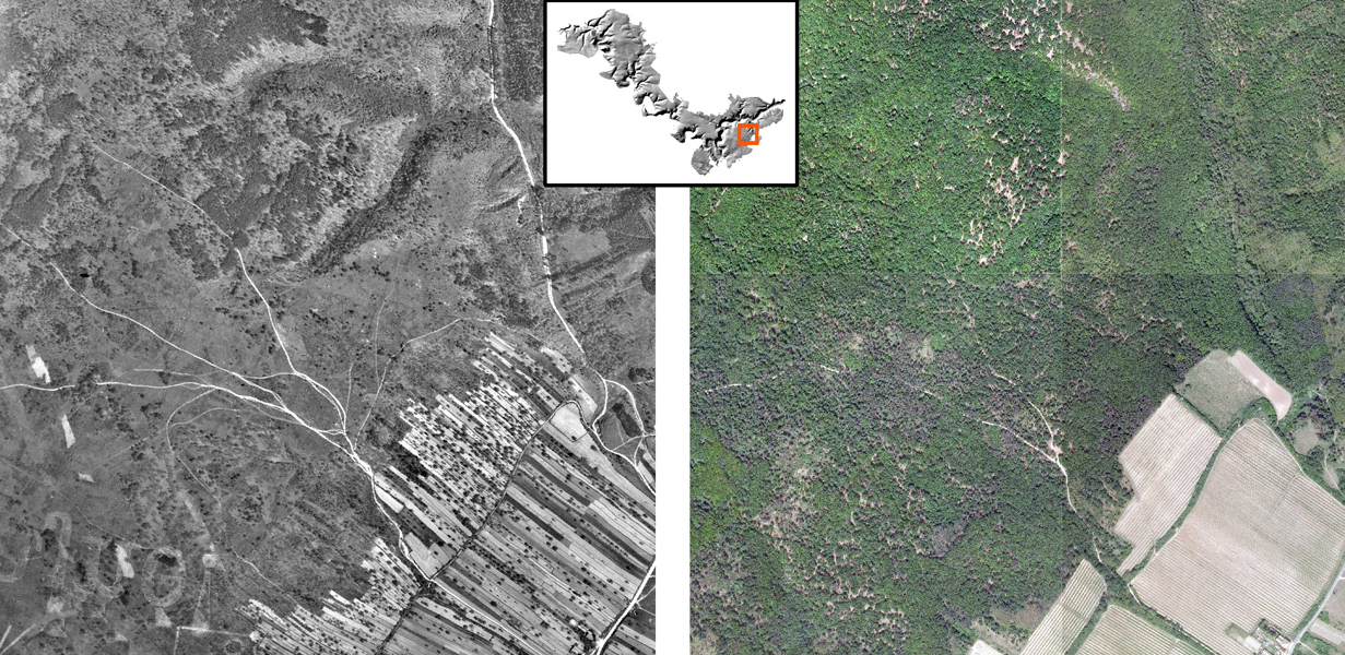 Srovnání stavu v roce 1938 a 2014 v jihovýchodní části NP Podyjí severně od Popic. Otevřené lesy zhoustly, travnaté plochy zarostly hustým nebo řídkým lesem a křovinami, jemnou a rozmanitou mozaiku zamědelských pozemků nahradily velkoplošné bloky zemědělské půdy. Snímky © VGHMÚř Dobruška (vlevo) a © Geodis Brno, spol. s.r.o. (vpravo).