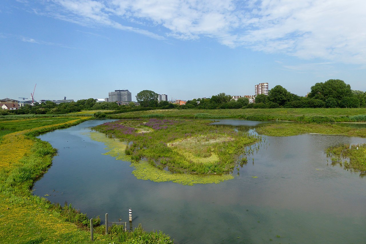 London Wetland Centre: Mokřad jako metropolitní atrakce. 