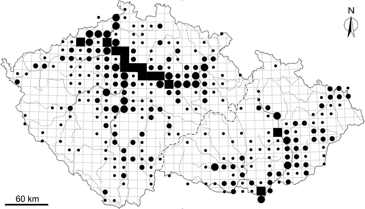 Obr. 6: Rozšíření 8 nepůvodních druhů vodních měkkýšů v období 1891-2014 v ČR. Malý bod: 1 druh; střední bod: 2-3 druhy; větší bod: 4-5 druhů; čtverec: 6-7 druhů zjištěných v mapovacím poli. Převzato z práce Lorencová et al. (2015).  