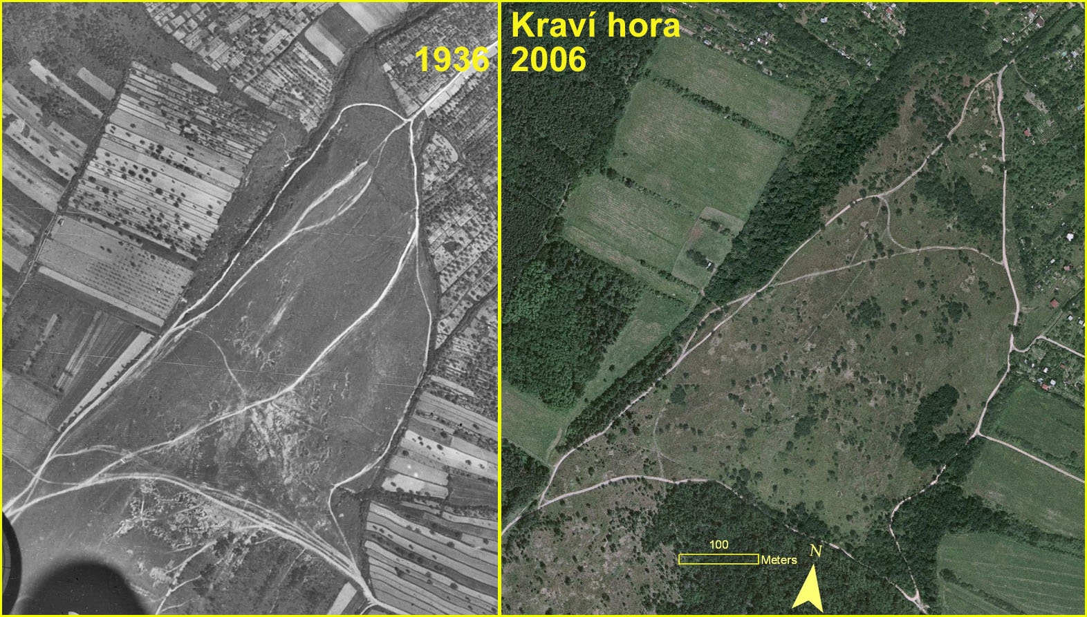 Vřesoviště na Kraví hoře u Znojma se mnoho desetiletí po zrušení vojenského cvičiště změnilo v pestrou lesostep 