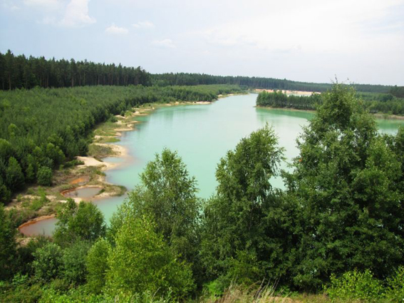 Cep II - pohled na nejstarší plochy přírodě blízké obnovy pískoven v ČR. Foto Jiří Řehounek