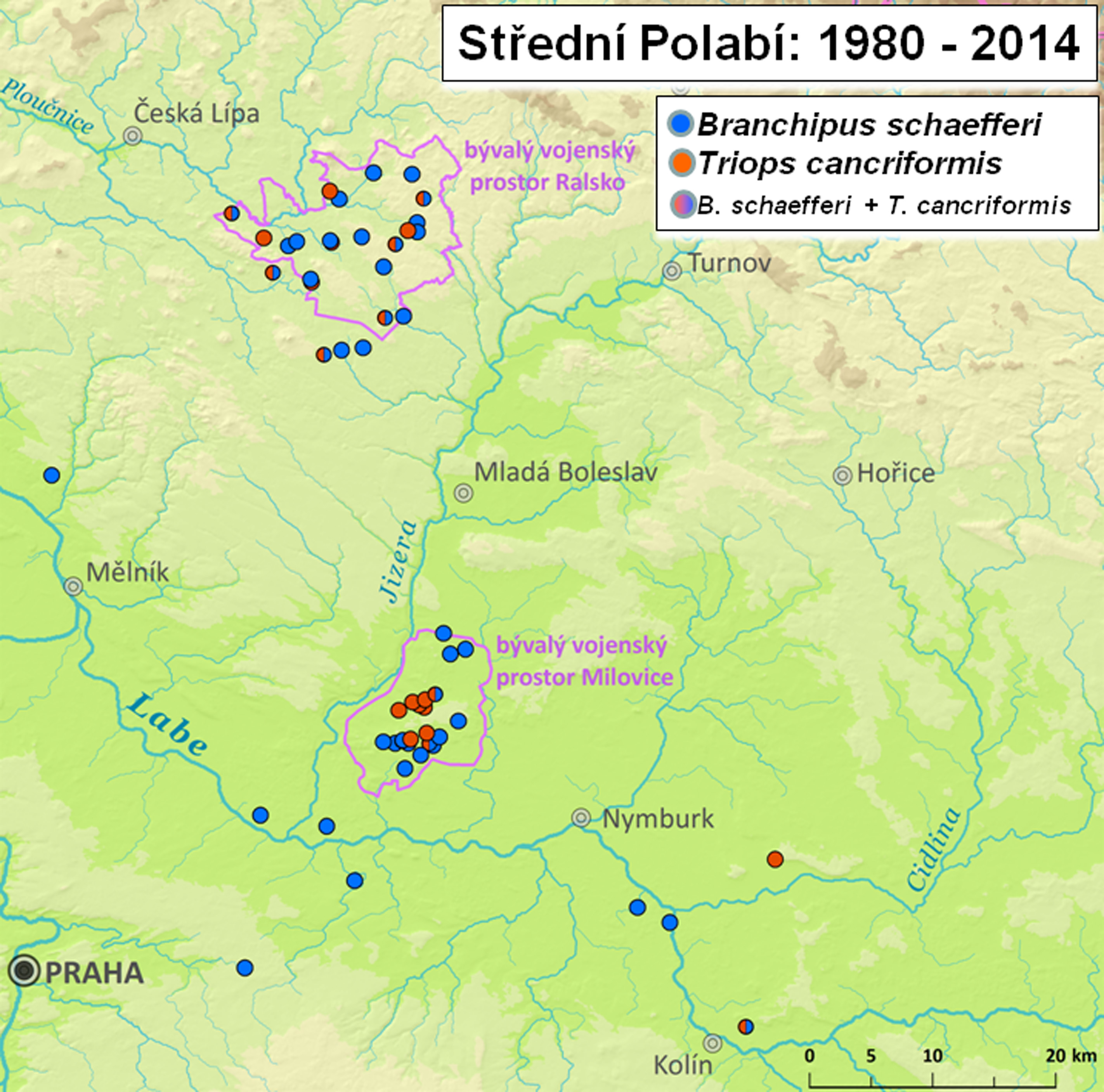 Změny v rozšíření žábronožky letní a listonoha letního na příkladu středních Čech. Zatímco ve volné krajině lokalit korýšů během 20. století ubývá, v územích spravovaných armádou jejich počet enormně roste. Autoři map Ondřej Hájek a Jan Sychra