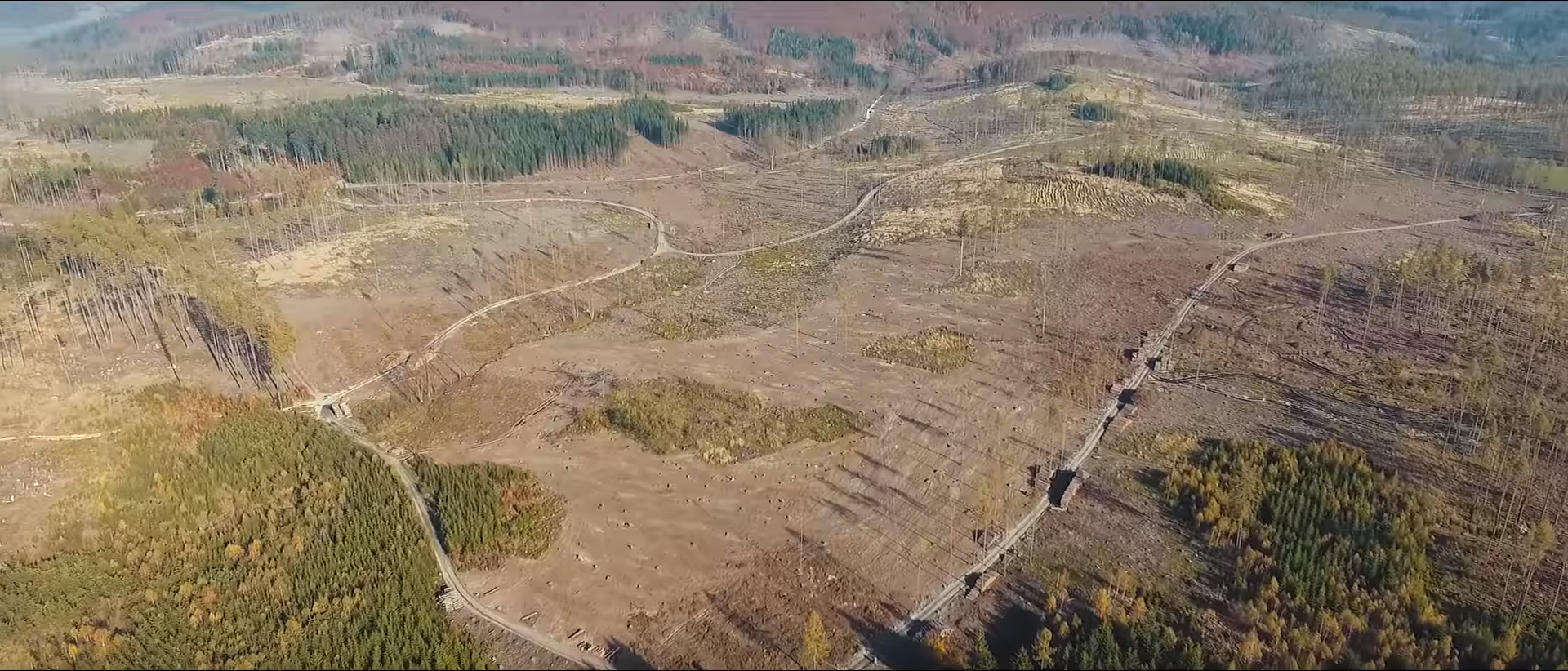 Plošně odlesněná krajina na Bruntálsku. Foto Jakub Schramm