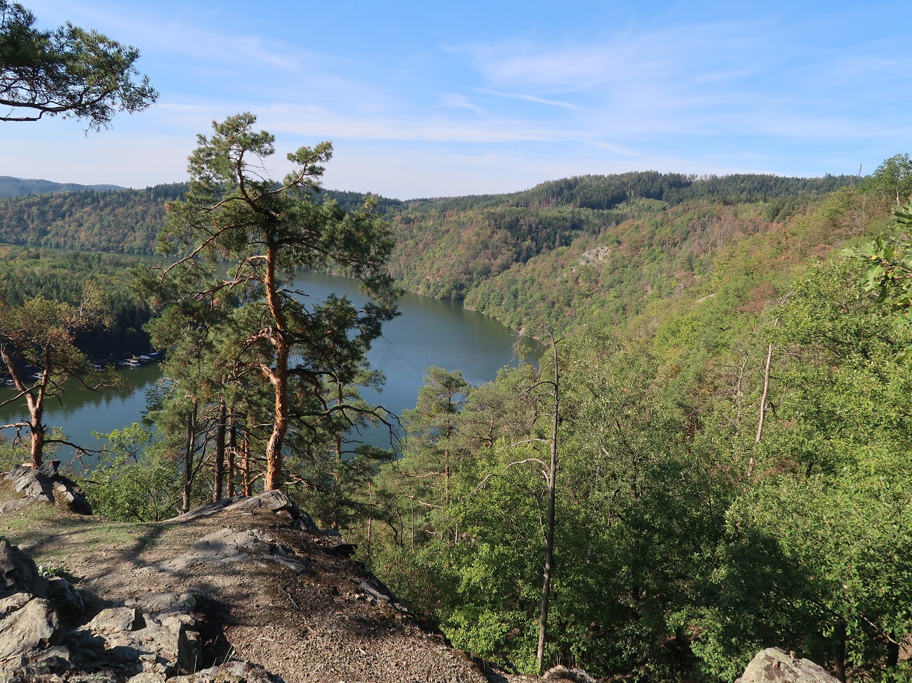 V PR Vymyšlenská pěšina je v souladu s plánem péče prováděno odstraňování invazních druhů dřevin a prosvětlování lesních porostů. Foto Radek Kouřík