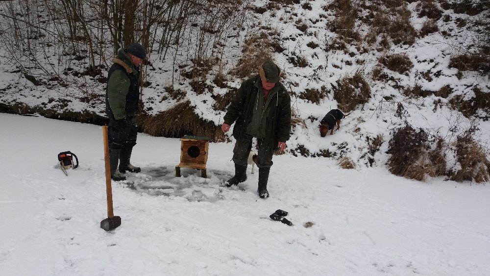 Snímek instalace kachní budky – HS Čelákovice. Foto JUDr. Jan Barták