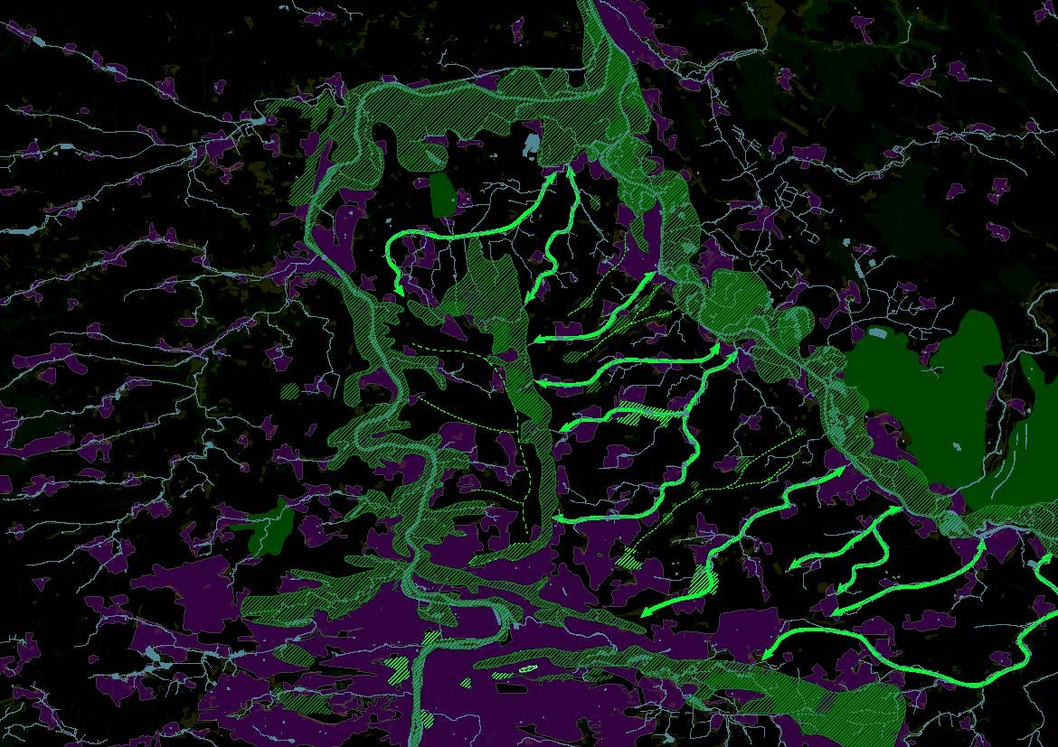 Základní struktura zelené infrastruktury v regionu se opírá o jasně čitelné krajinné celky či prvky jako jsou údolní nivy Labe a Vltavy, kaňon Vltavy, historické parky, historické lesní celky a nivy potoků. Severní část metropolitní oblasti Prahy, Štěpán Špoula, Wouter Verleure, IPR Praha