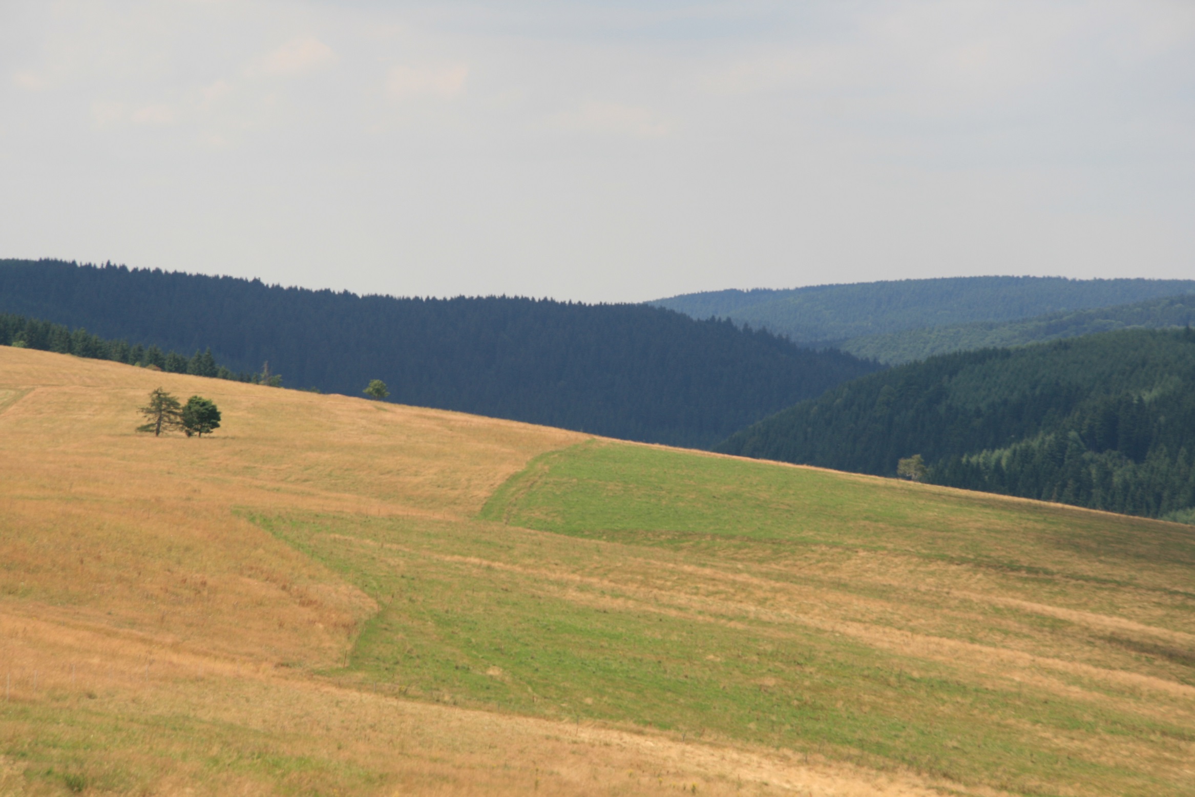 Louky u Moldavy. Foto Ondřej Volf