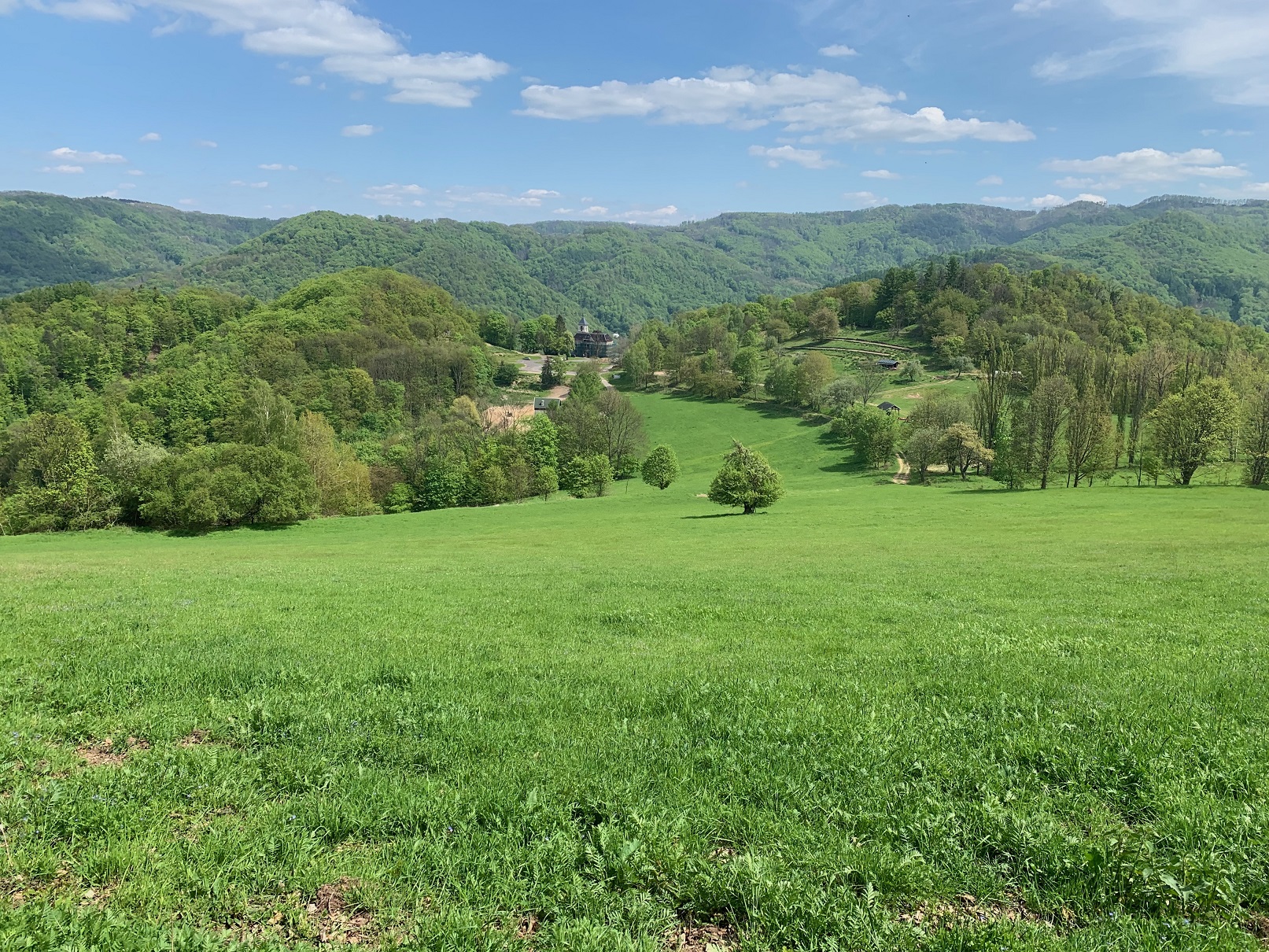 Podpora krajinných prvků je součástí péče o krajinu jako takovou. Foto Jan Dušek