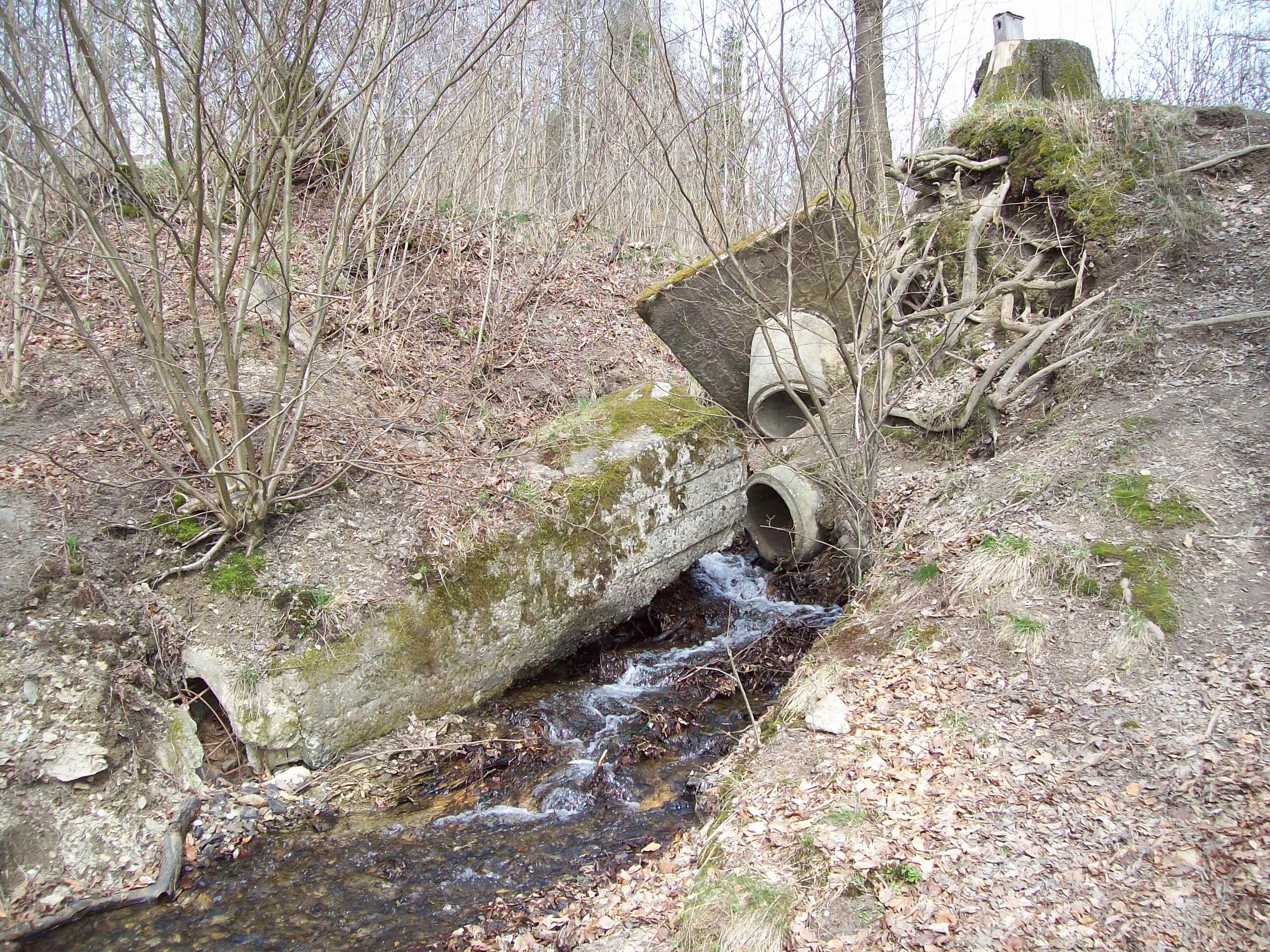 Obtok Dolíšky, Rokytnice. Foto: Michaela Vejvalková