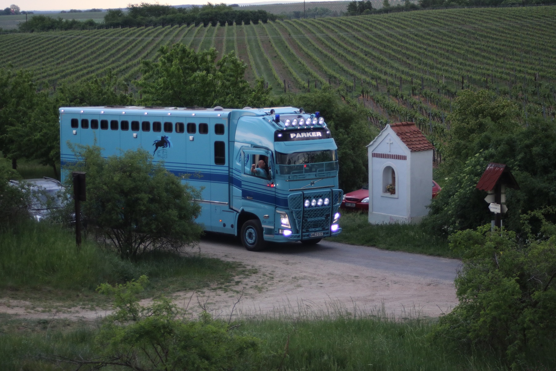 Koně absolvovali cestu dlouhou 1700 km v téměř kosmickém autobuse v podstatě bez potíží. Foto Markéta Dušková