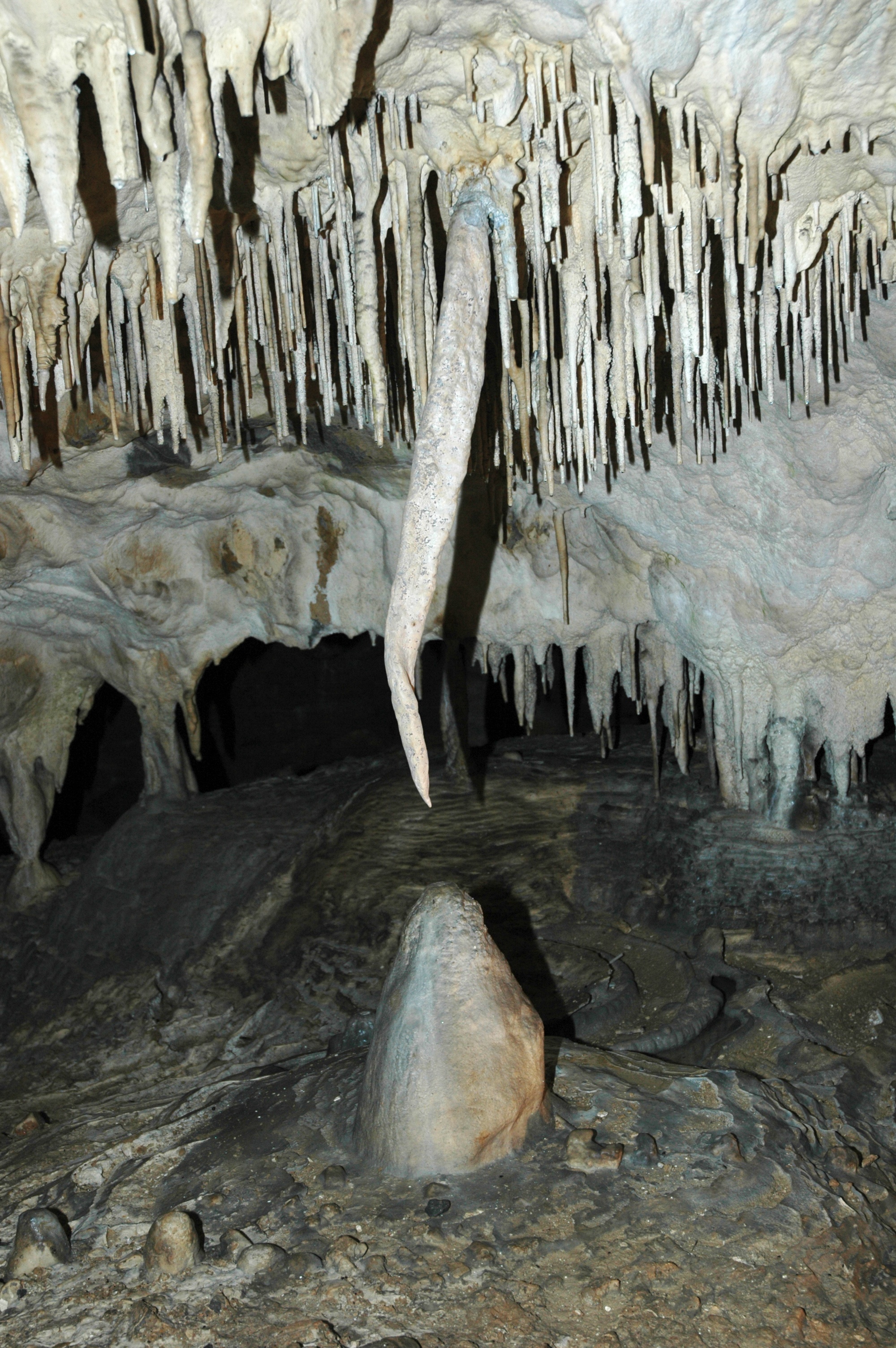 Obr. 3: Plastová náhrada krápníku Handžár v jeskyni Balcarka. Foto: Leoš Štefka