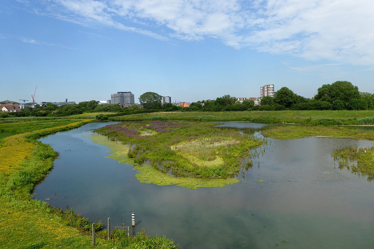 London Wetland Centre: Mokřad jako metropolitní atrakce. 