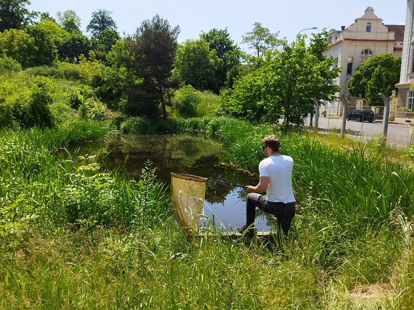 Sběr vážek v genetické zahradě na pražském Albertově. Foto Bohumil R. Fiala