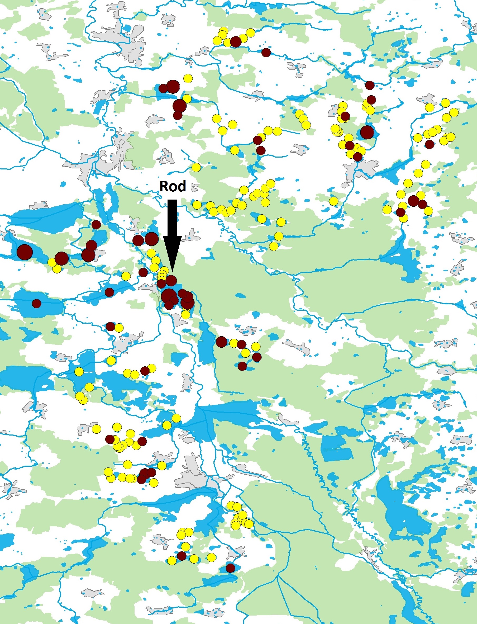 Obr. 3 Mapa Třeboňska se žlutě vyznačenými rybníky, na nichž byl prováděn Monitoring vodních ptáků v hnízdních sezónách 2014 a 2015. Hnědě jsou zaznamenány samice poláka chocholačky, zjištěné ve druhé polovině května (období vybírání hnízdních lokalit a počátku snášení vajec), které byly zjištěny na 49 rybnících (celkově 276 samic).