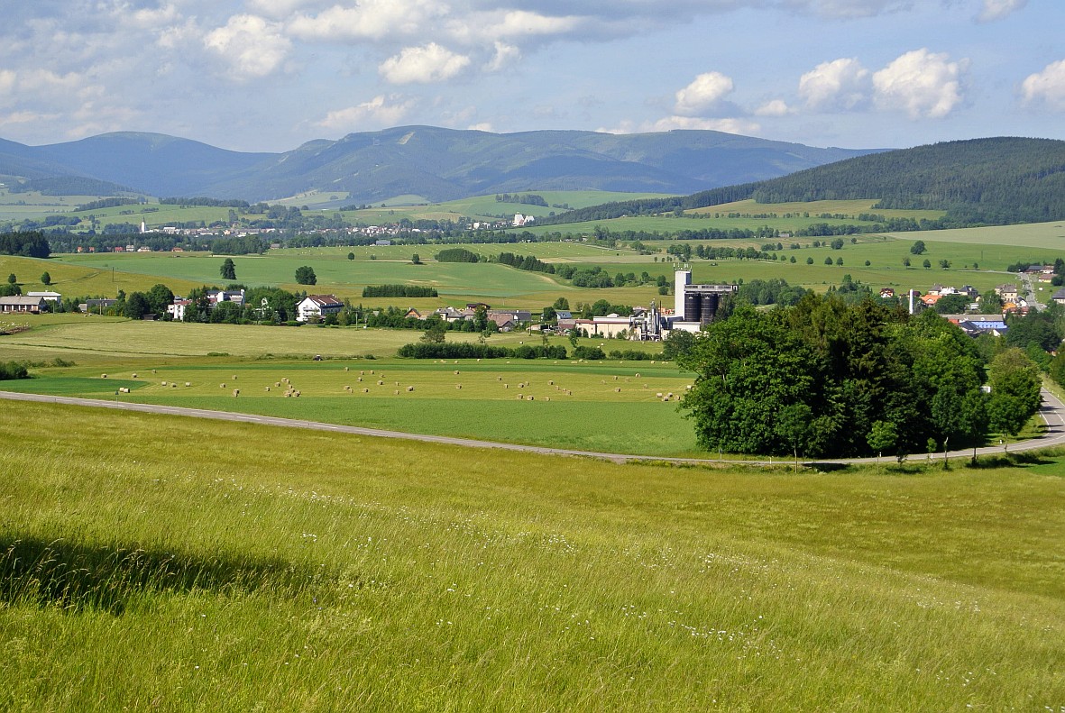 Chřástalí plocha v popředí rozčleňuje seč v čase a přispívá k větší mozaice travních porostů PO Králický Sněžník. Foto Václav Zámečník