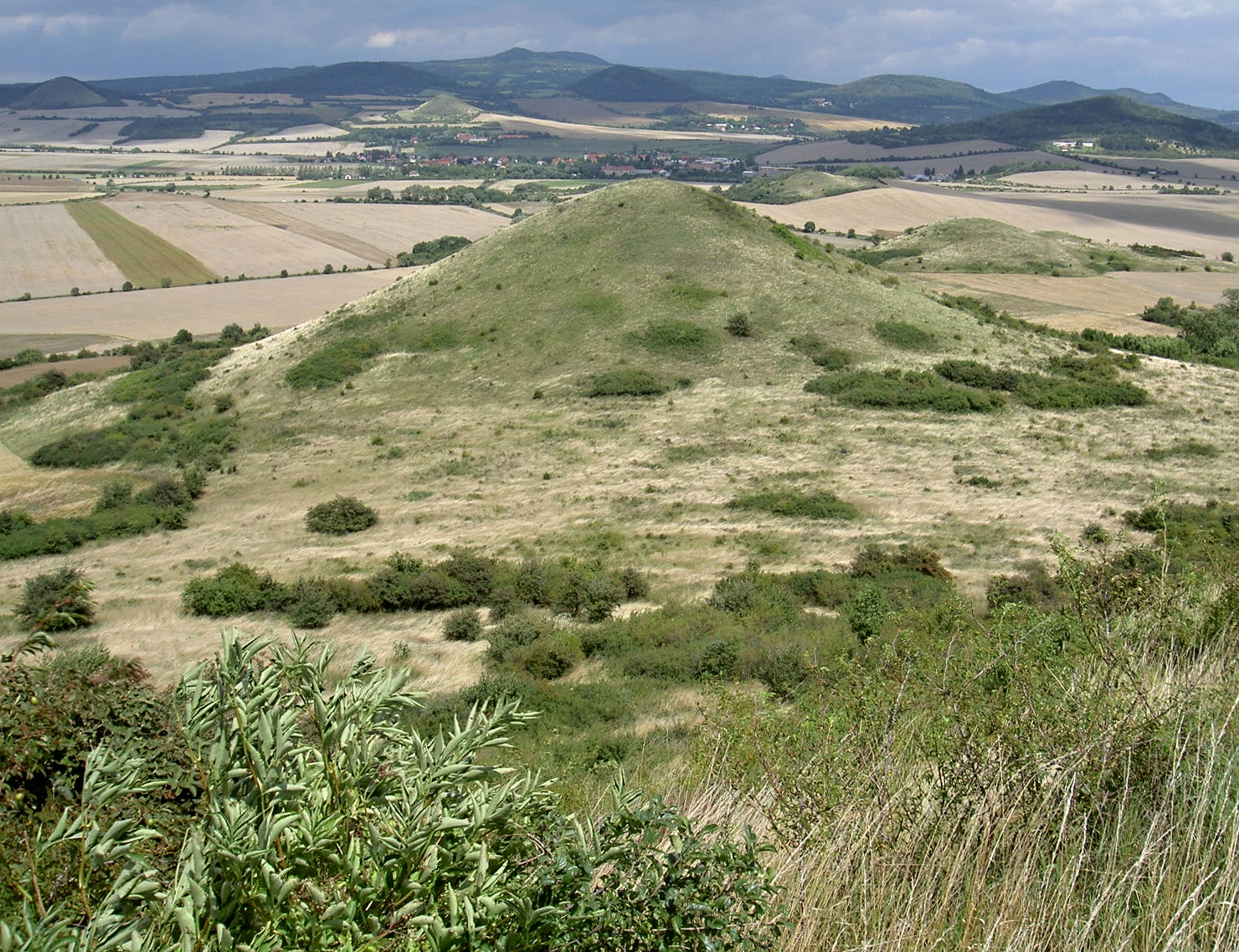  EVL Křížové vršky, Malý vrch, Šibeník před navrácením pastvy. Foto Šárka Kopecká