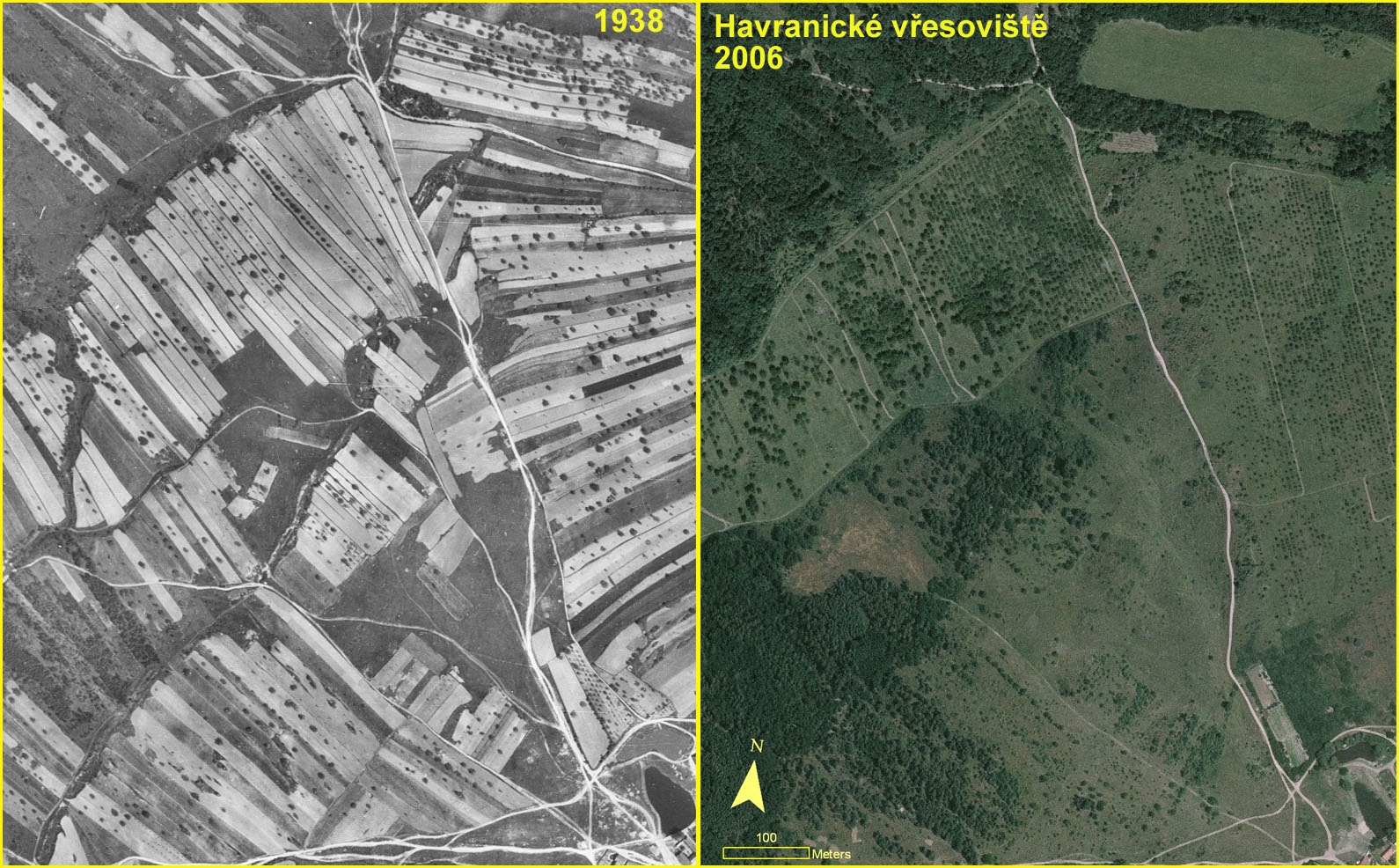 Změna struktury pozemků a využití krajiny na Havranickém vřesovišti po sedmdesáti letech.  