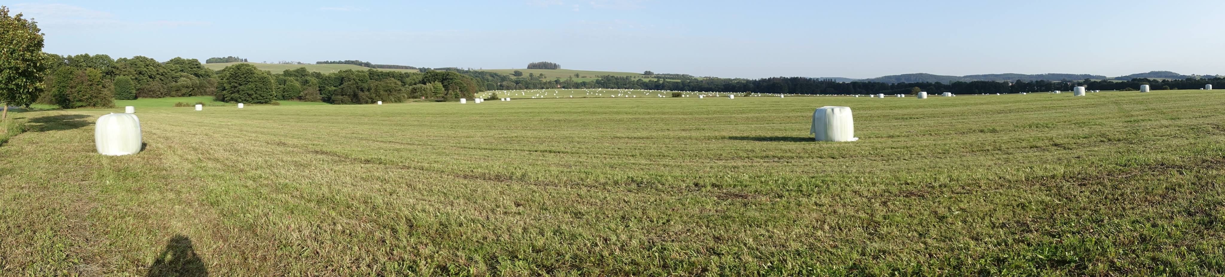 Příklad velkoplošné seče a rychlé sklizně do balíků senáže. Bezlesí Nízkého Jeseníku je zceleno do mnoha desítek hektarových půdních bloků, kde probíhá management v jeden čas. Výsledkem je pak na těchto loukách takřka naprostá absence hmyzu. Foto Jiří Beneš