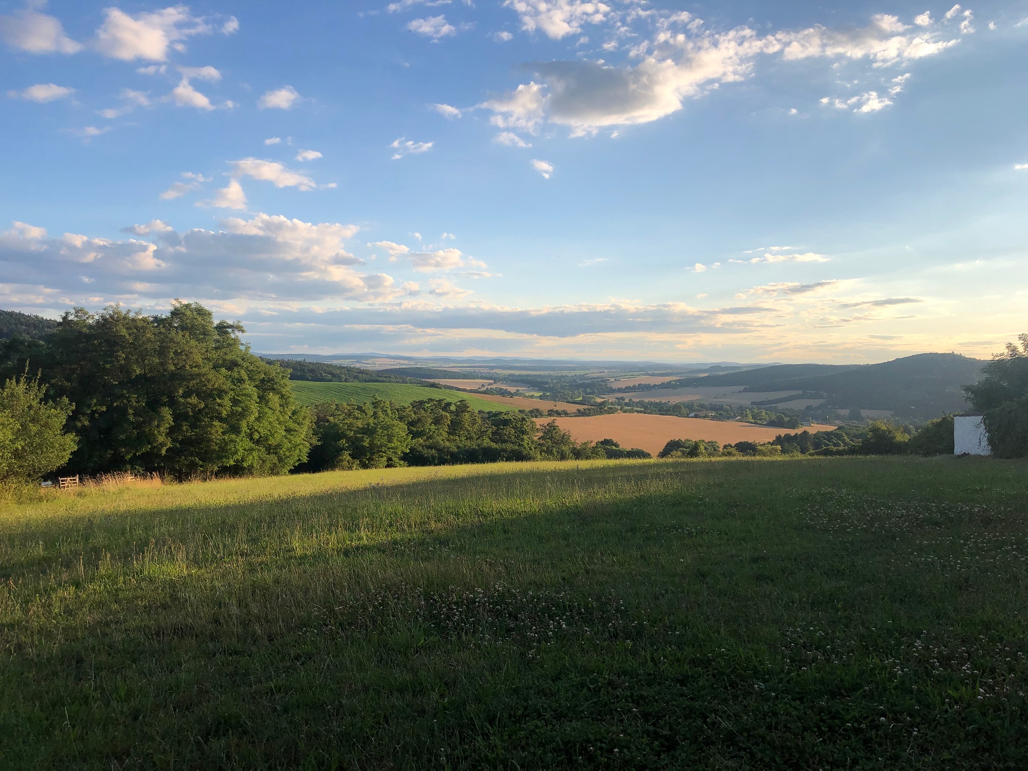 Zatravněné pole po 10 letech a pohled na jižní Plzeňsko. Foto Eva Volfová