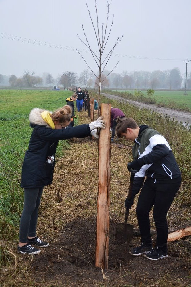 Při sázení stromů pomáhají žáci místních škol. Foto Vendula Šmoldasová