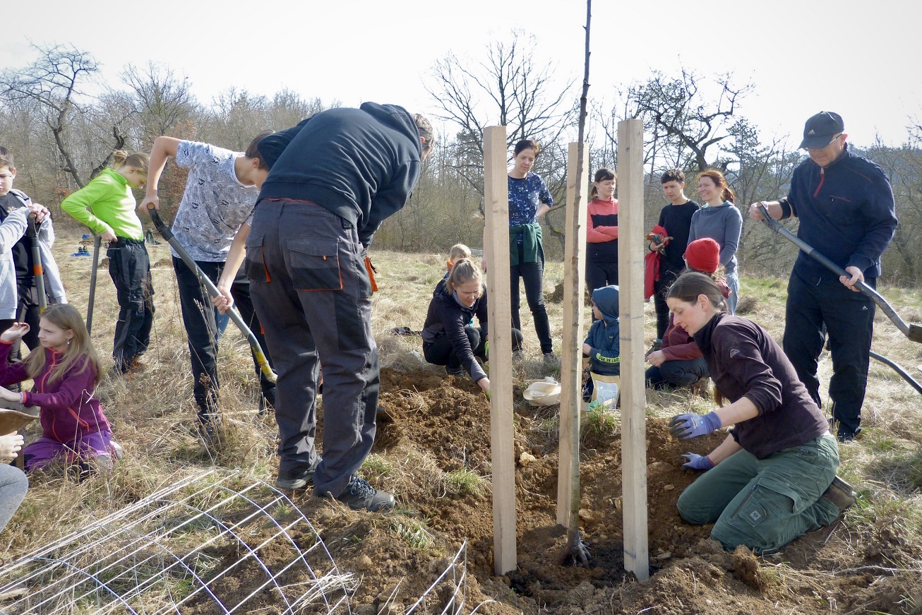Komunitní obnova starého sadu v Roblíně v rámci projektu Krajinohledu podpořeného Nadací VIA a Nadací Partnerství. Foto archiv Krajinohledu