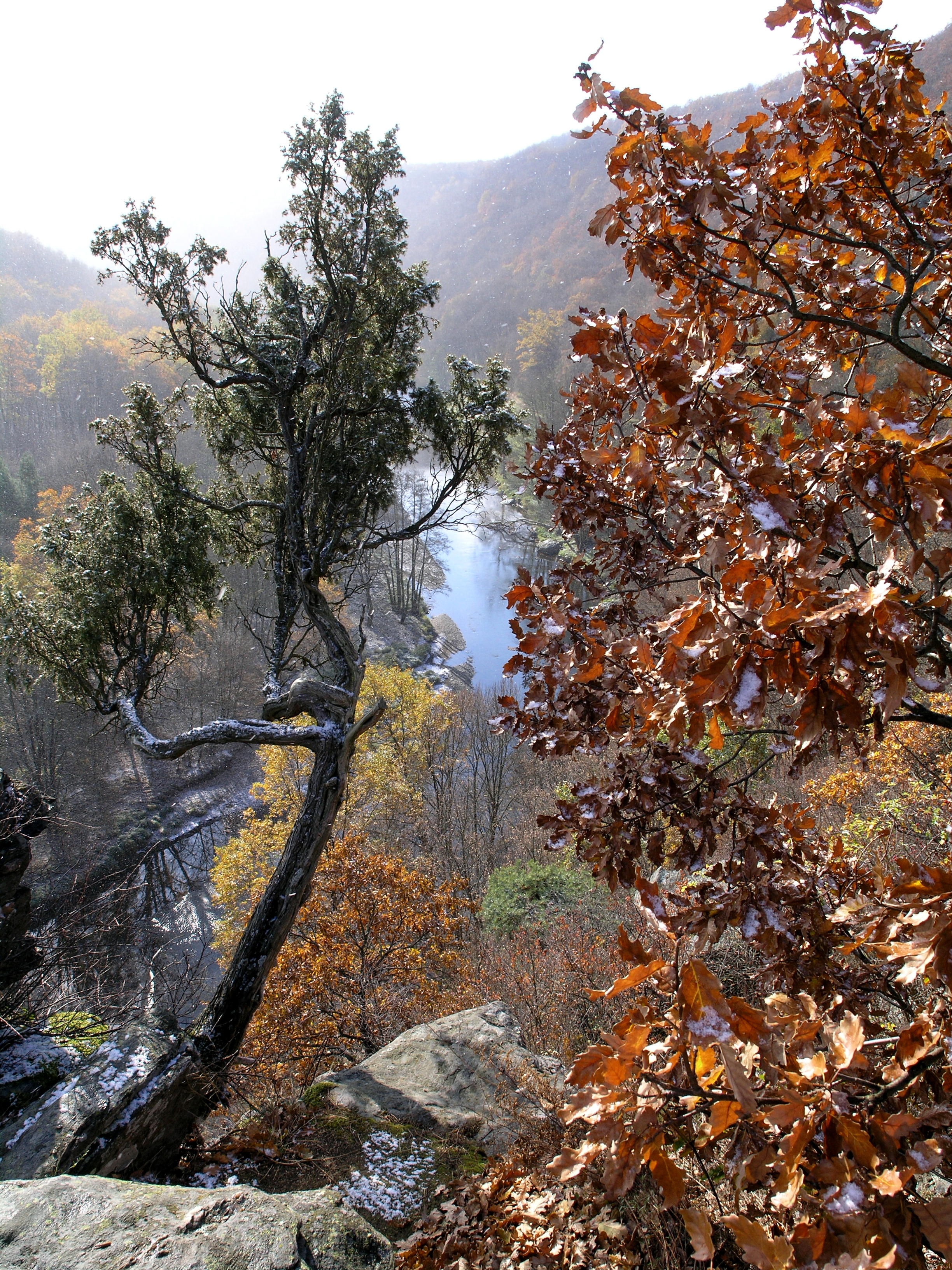 Národní park Podyjí. Foto Tomáš Rothröckl