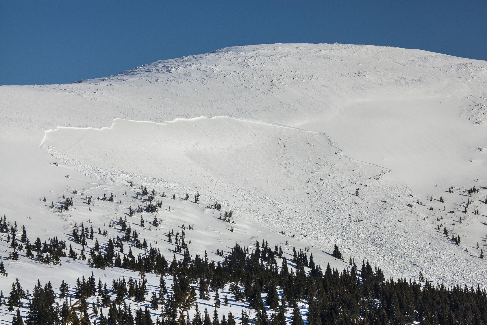 Odtrhová oblast laviny ve svahu Studniční hory (únor 2015). Foto Kamila Antošová