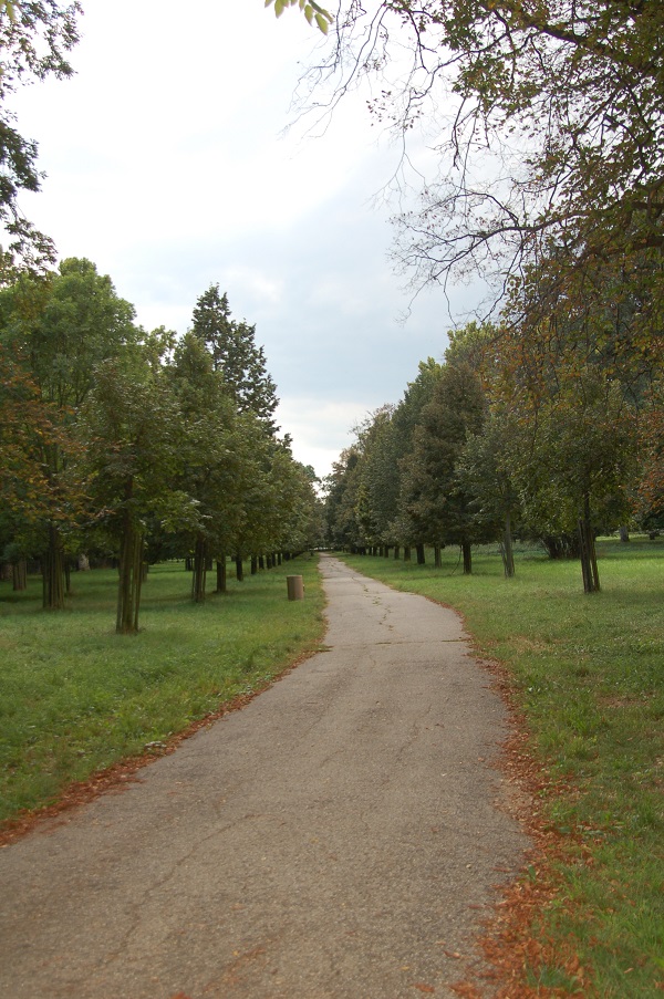 Židlochovický zámecký park uprostřed města Židlochovice, plocha 23,1 ha, byl zařazen bez konzultací se zahradníky a bez vědomí vlastníka na seznam EVL s argumentem výskytu páchníka hnědého. Ten se zde ale nevyskytuje od devadesátých let 20. století, kdy byla provedena rozsáhlá rekonstrukce parku, včetně sanace starých lipových alejí. V současných lipových alejích ve stáří 20 - 25 roků nastanou vhodné podmínky pro vývoj xylofágních druhů brouků nejdříve za 100 roků. Žádosti LČR, s.p., o vyřazení ze seznamu EVL nebylo vyhověno. Proto je možné každý větší arboristický zásah realizovat až po posouzení, že nebude mít vliv na předmět ochrany. Každý odborný posudek je v desítkách tisíc Kč…    Foto Jan Vybíral