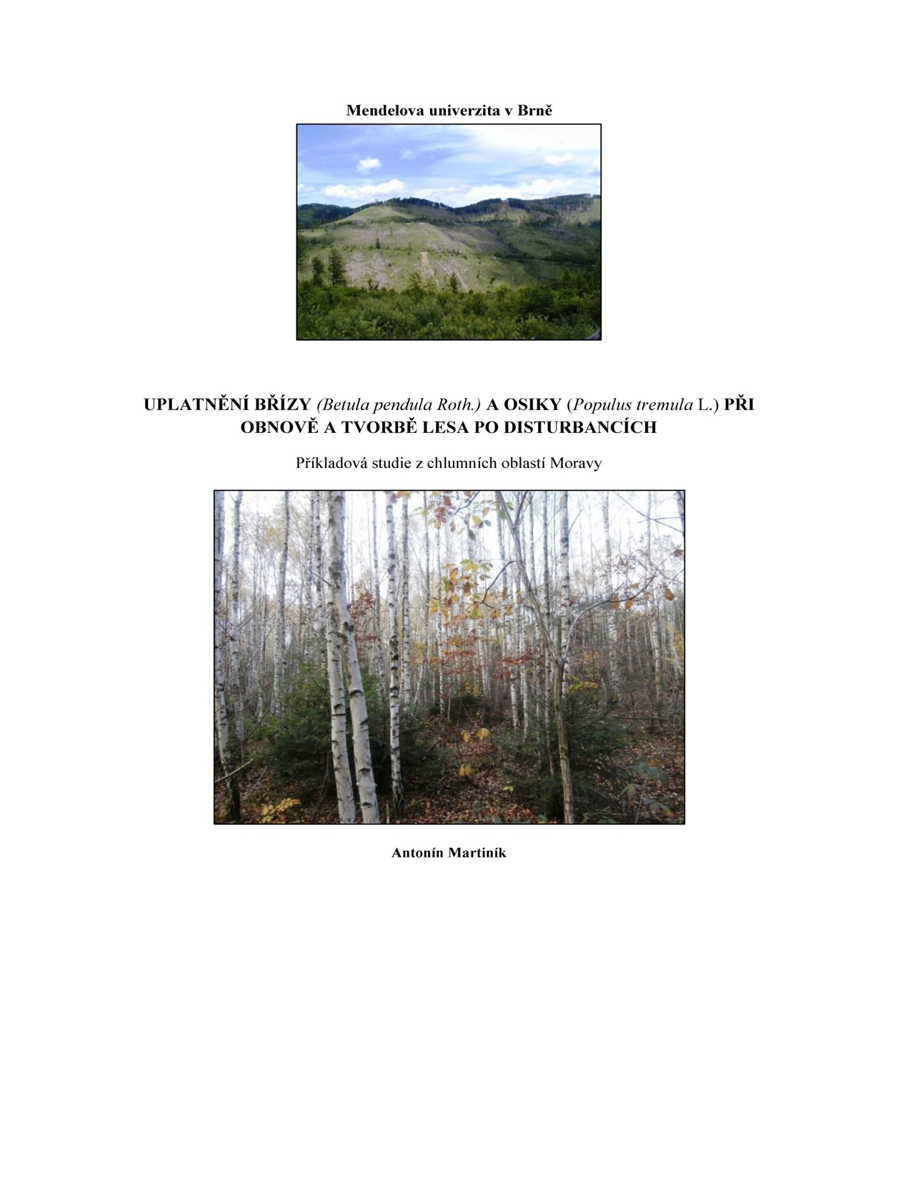 Obr. 4 Možnosti obnovy lesa po disturbancích na základě exaktních vědeckých dat - tedy ne, že to nejde (Martiník 2019).