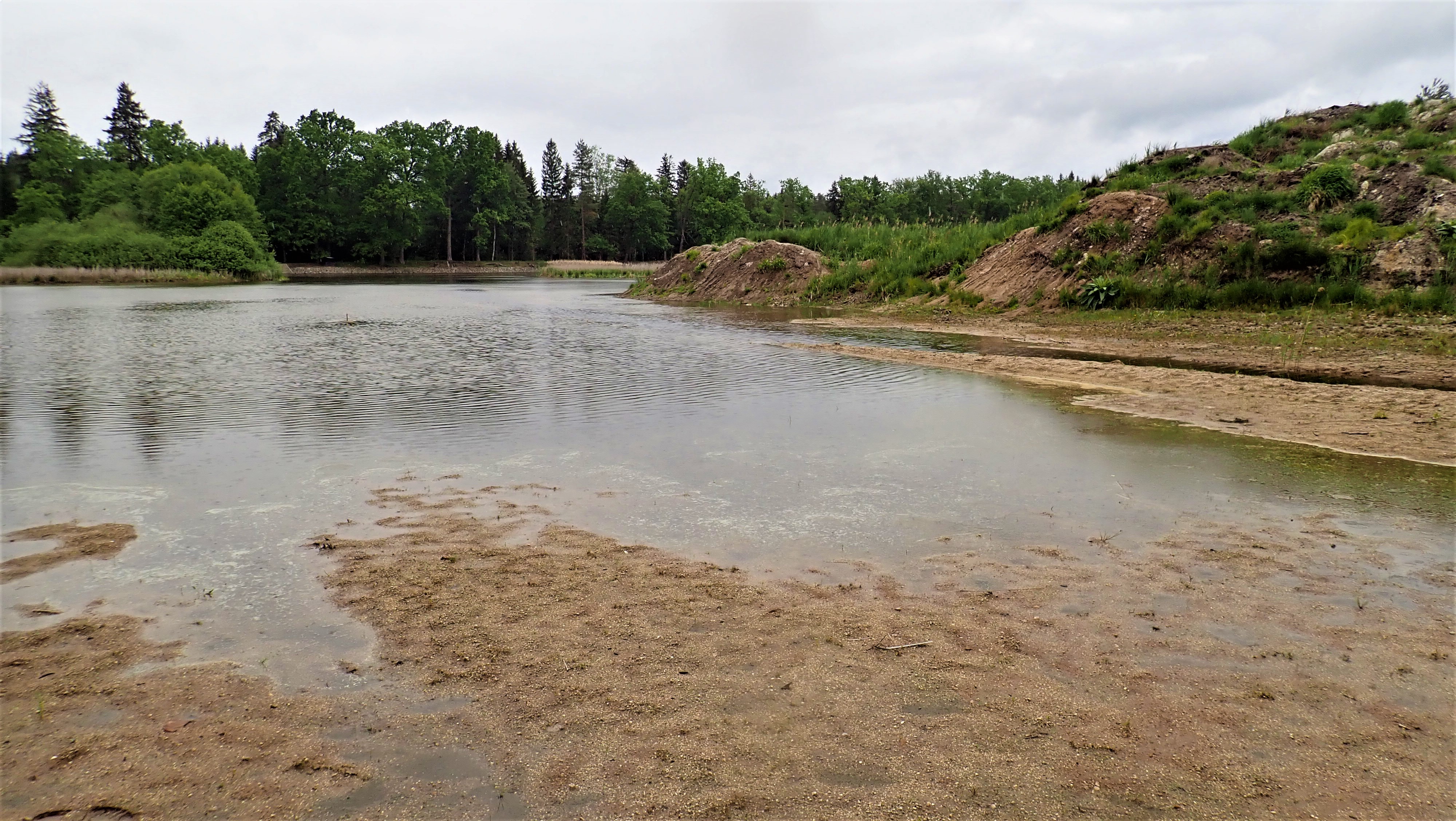 Obr. 5: Deponie z vybagrovaného dna rybníku. Foto D. Boukal