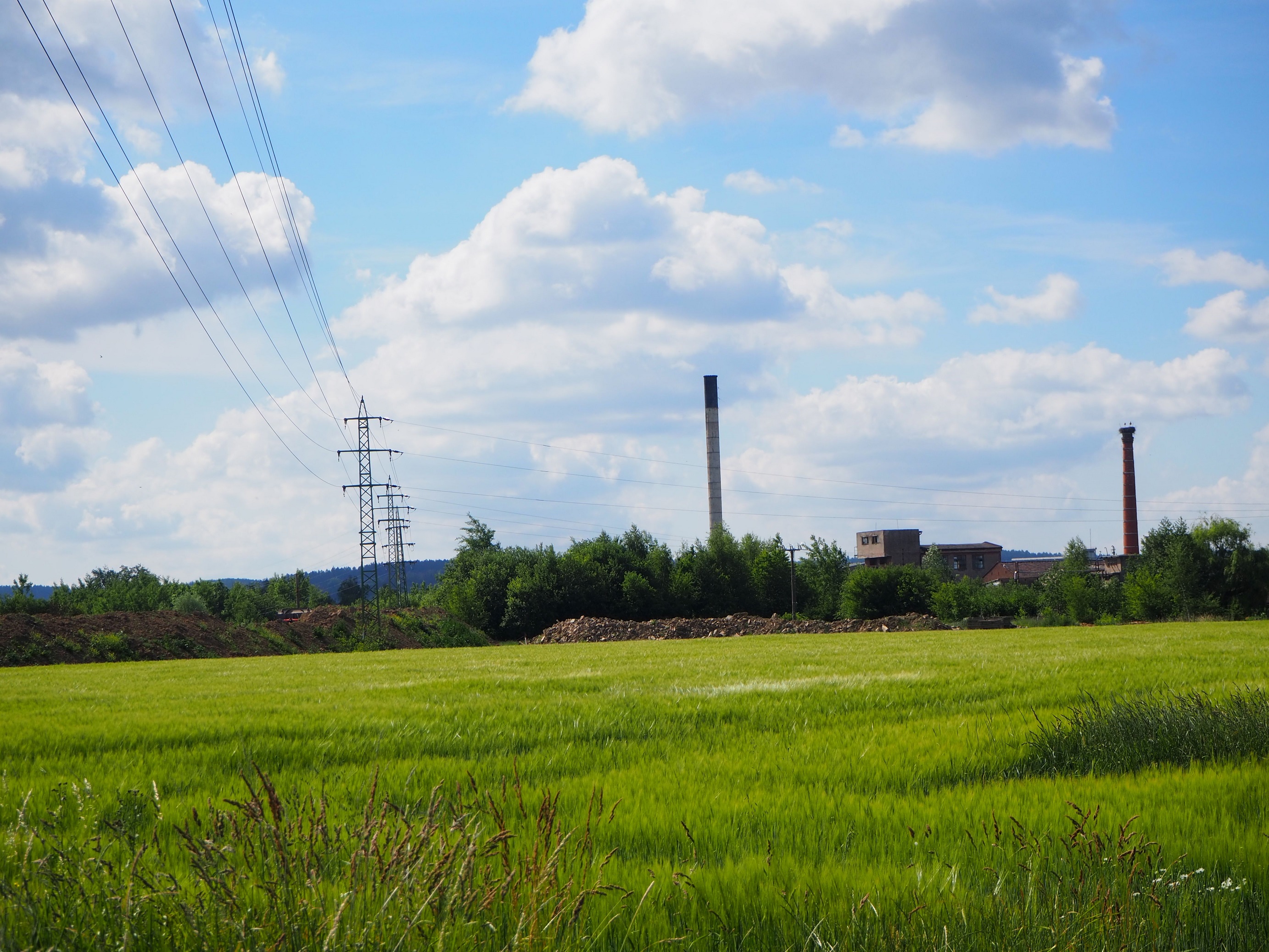 Staré průmyslové areály mohou být místem ekologických zátěží, ale také nečekané biodiverzity a industriálních památek. Foto Markéta Šantůčková